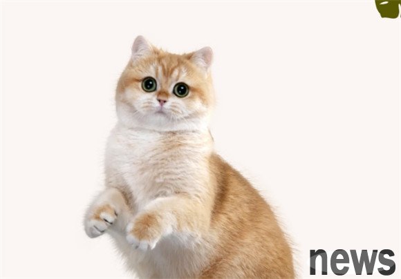 What s wrong with suddenly being allergic to cat hair after 5 years of raising a cat?