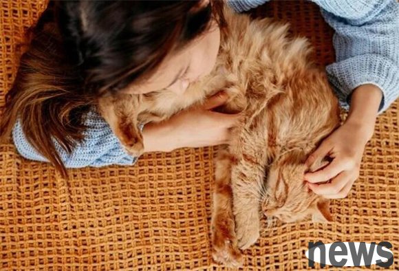 Why do you think cats are cute? There are actually these hidden secrets behind the cat