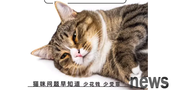 Can cat litter detect hidden diseases in cats? Do you believe it?