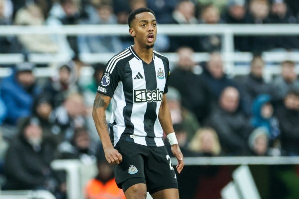 Reporter: Fulham is interested in introducing Willoc. If there is a good offer, Newcastle may consider selling it.