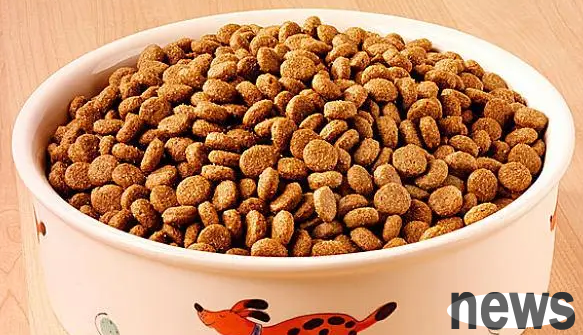 Comparing the advantages and disadvantages of dry food and wet food, which type of food is better?