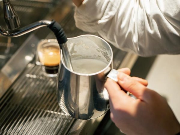 What is the difference between business milk used in cafes and beverage stores and commercially available milk? Experts say this