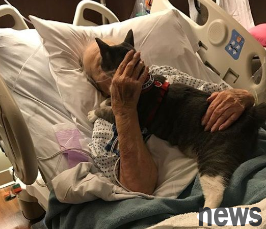 Cats with lost eyes Accompany grandma to overcome cancer