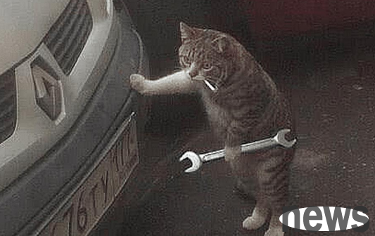 The owner got up to work and found the cat hiding beside the car sneakily. When he approached, he suddenly became uneasy.