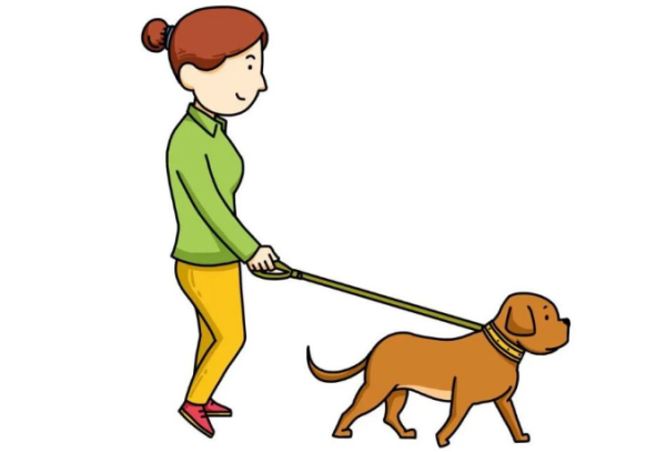 [World Rabies Day] You must also pay attention to safety when petting cats and dogs