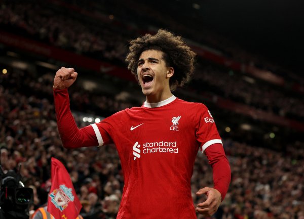 Echo: Liverpool youngster Danes will be out for several months and may not be able to play this year