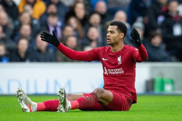 Is it a merit or a fault? Gakpo equalized the score, but hit the frame three times to set a single-game record in the Premier League this season.