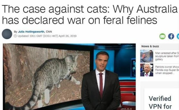 While you feel sorry for Australia’s 2 million cats, here are 5 questions you need to know